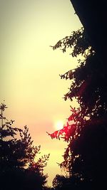 Low angle view of silhouette trees against sky at sunset