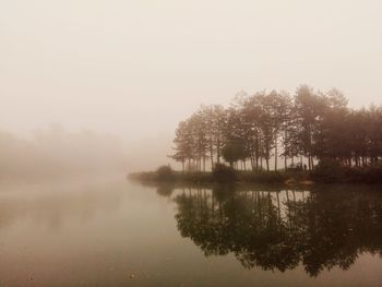 Reflection of trees in lake against sky