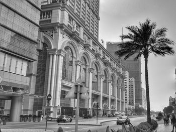 Cars on street by palm trees and buildings against sky