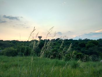 Scenic view of field against cloudy sky