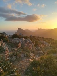 Scenic view of landscape against sky during sunset