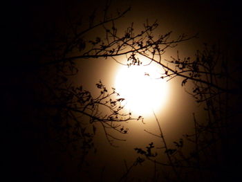 Low angle view of bare trees against sky at sunset