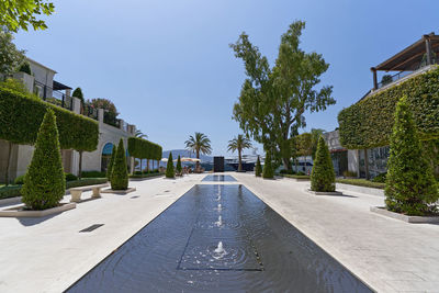 Luxurious promenade with sidewalk fountain and shaped trees in porto montenegro