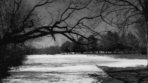 Bare trees by river against sky during winter