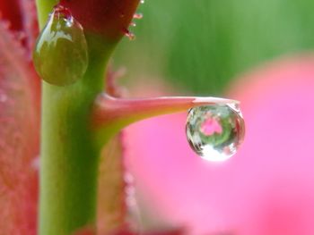 Close-up of bubbles in park