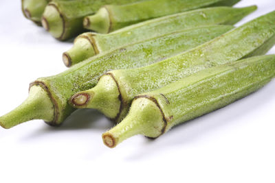 Close-up of green leaf