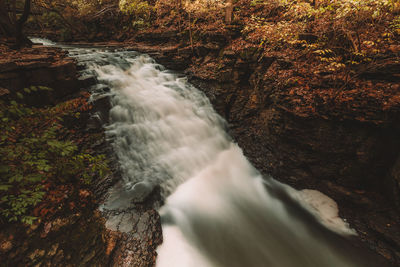 Scenic view of waterfall in forest