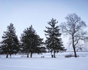 Trees on snow covered landscape against sky