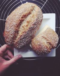 Close-up of hand holding bread