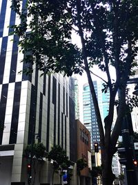 Low angle view of trees in city against sky