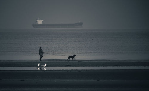 Side view of a man with dog on beach against calm sea