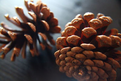 Close-up of bread