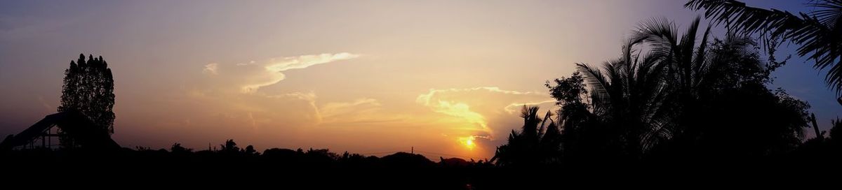 Silhouette trees against sky during sunset