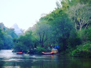 Man in boat on trees against sky