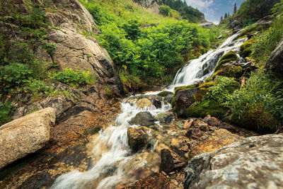 Scenic view of waterfall in forest