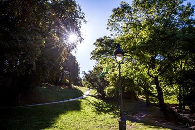 Street amidst trees against sky