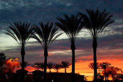 Silhouette palm trees against sky during sunset