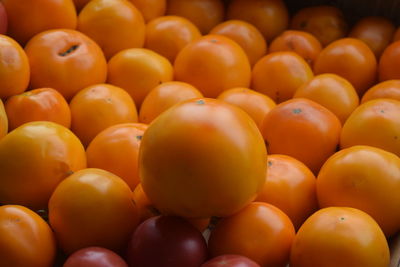 Full frame shot of tomatoes