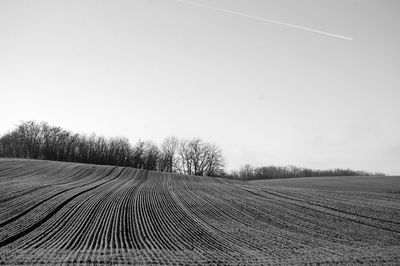 Scenic view of rural landscape