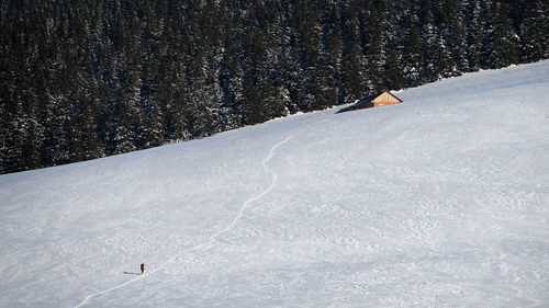 Person skiing on snowcapped mountain