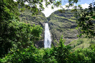 Scenic view of waterfall in forest