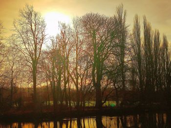 Bare trees by lake against sky during sunset