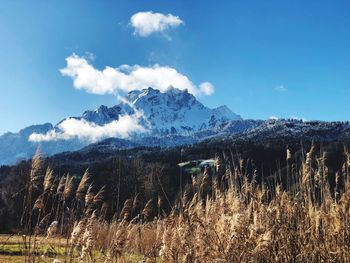 Scenic view of mountains against blue sky