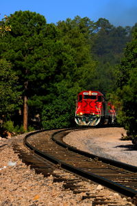 Train on railroad track by trees against sky