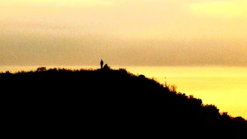 Silhouette trees by sea against sky at sunset