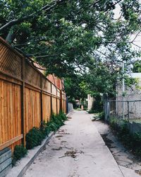 Walkway amidst trees