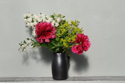 Close-up of pink flowers