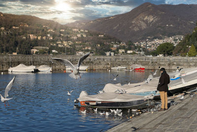 Man looking at seagulls standing by sea