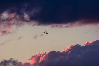 Birds flying on beach against sky at night