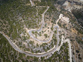 High angle view of winding road amidst trees