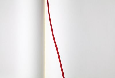 Close-up of red crane