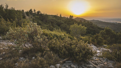 Scenic view of sunset over mountains