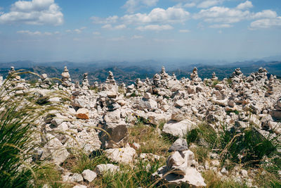 Plants growing on rocks against sky