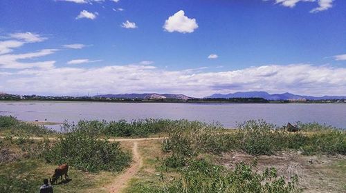 Scenic view of landscape against cloudy sky