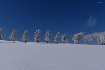 low angle view