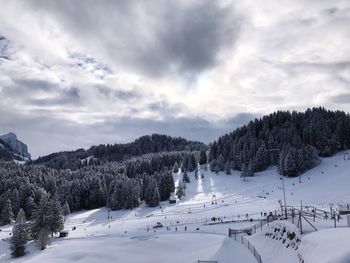 Trees on snow covered landscape against sky