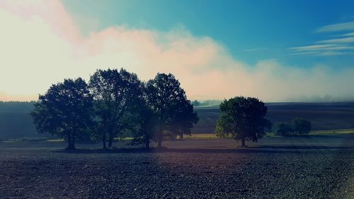 Trees on landscape against sky