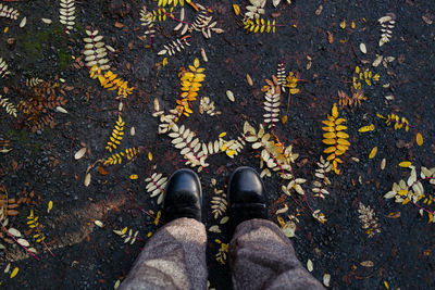 Personal perspective woman standing on the road covered with autumn yellow leaves