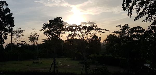 Silhouette trees on field against sky at sunset