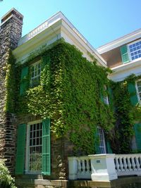 Low angle view of trees and building against sky