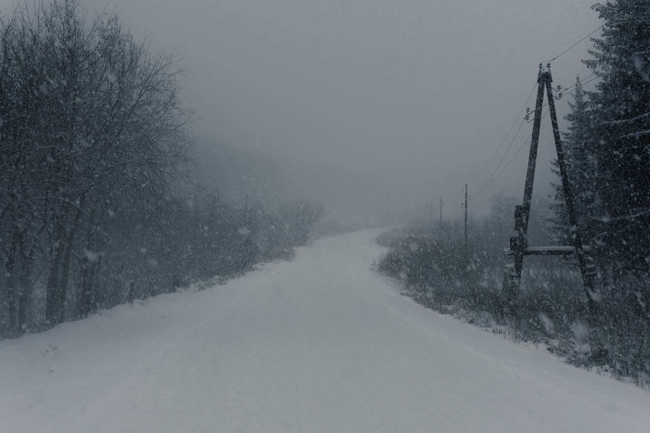 SNOW COVERED ROAD AMIDST TREES DURING WINTER