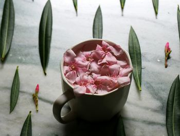 High angle view of pink roses on table