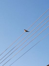 Low angle view of cables against clear blue sky