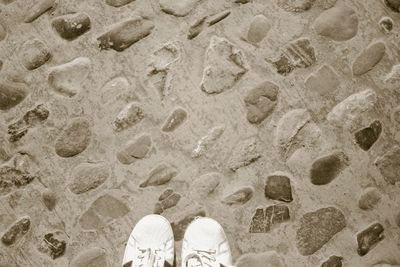 Low section of person standing on sand at beach