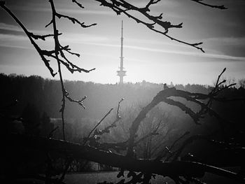 Silhouette of bare trees on landscape during rainy season