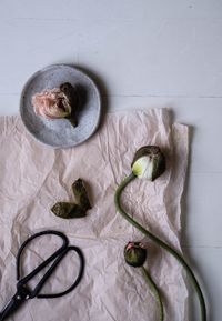 High angle view of white flowers on table